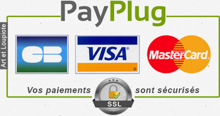 logo Payplug